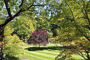46 - Butchard Gardens  - IMG_1638